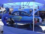 limousin_05_-_06.jpg
