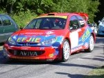 limousin_05_-_08.jpg