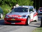 limousin_05_-_11.jpg