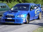 limousin_05_-_16.jpg