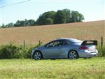 limousin_09_-_001.JPG