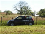 limousin_09_-_005.JPG