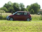 limousin_09_-_010.JPG