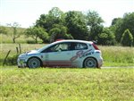 limousin 09 - 017