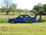 limousin_09_-_018.JPG