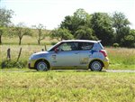 limousin_09_-_020.JPG