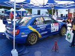 limousin_09_-_029.JPG