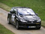 genets_09_-_124.JPG
