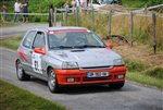 st-sornin_2010_-_044.JPG