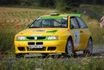st-sornin_2010_-_099.JPG