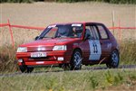 st-sornin_2011_-_311.JPG