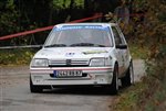 vienne_et_glane_2011_-_050.JPG