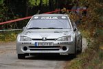 vienne_et_glane_2011_-_060.JPG