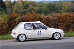 vienne_et_glane_2011_-_105.JPG
