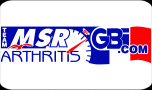 miniature_communique_MSR-GBI_team_2008_new.gif