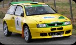 miniature_rallye_st-sornin_2008.jpg