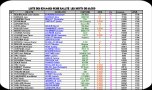 miniature_infos_rallye_blond_2009.jpg