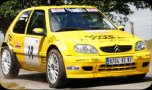 miniature_rallye_st-sornin_2009.jpg